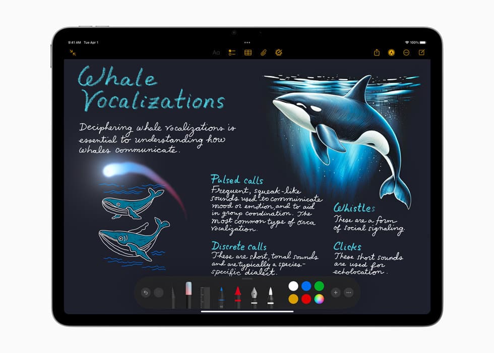 Image Wand in Notes on iPad Air